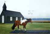 OutHorse Your Email to Iceland’s Horses