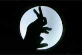 Wonderful World Shadow Theatre